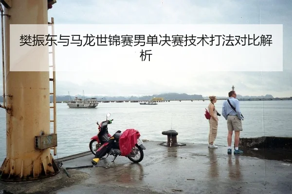 樊振东与马龙世锦赛男单决赛技术打法对比解析